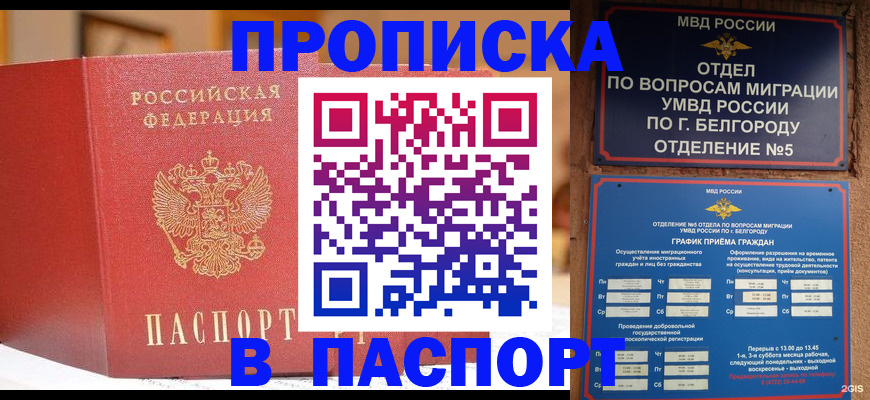 временная регистрация в квартире в Зее